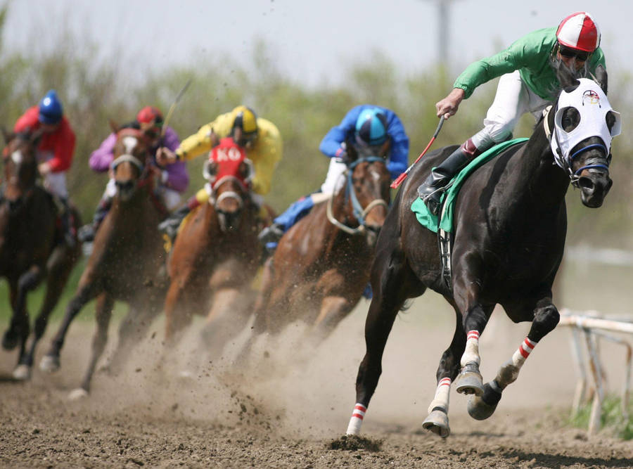 horse jockey clipart free - photo #2