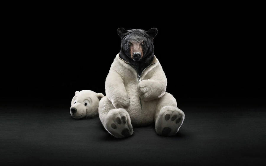 clip art cartoon bears - photo #9