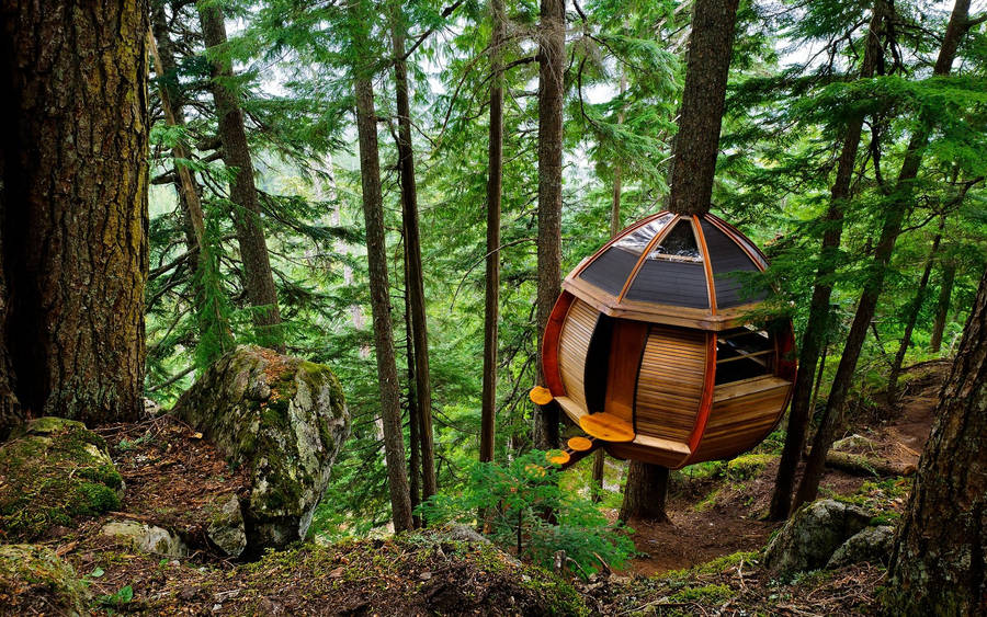 clipart pictures tree house - photo #4