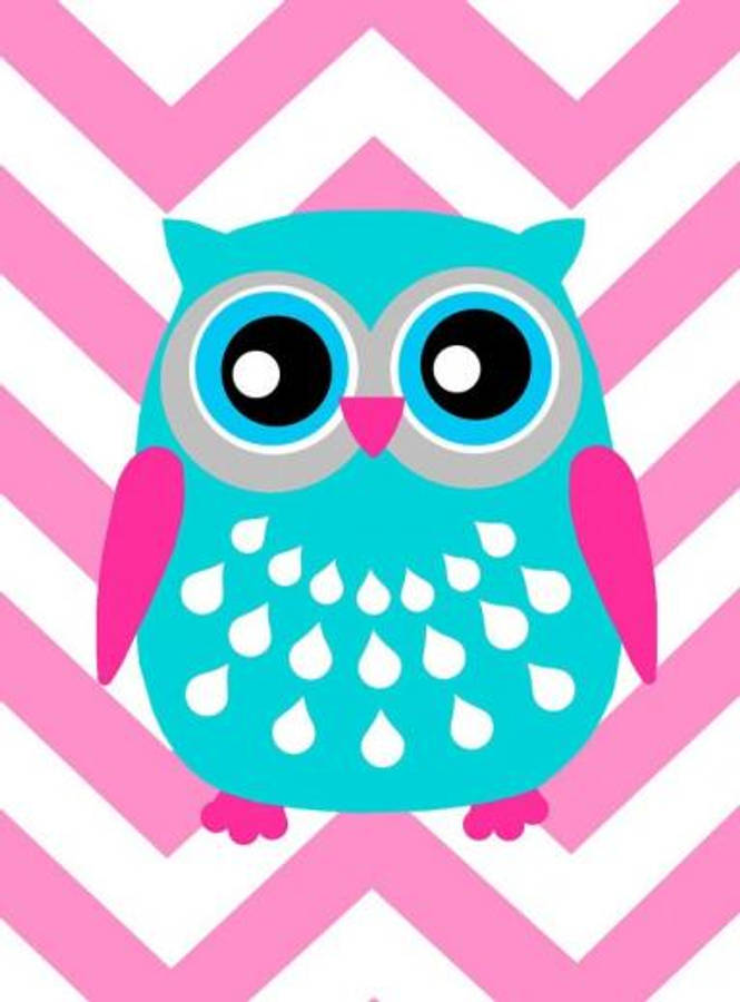 free animated owl clip art - photo #19