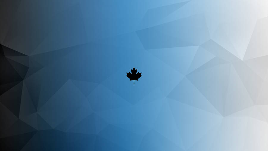 maple leaves clipart - photo #50