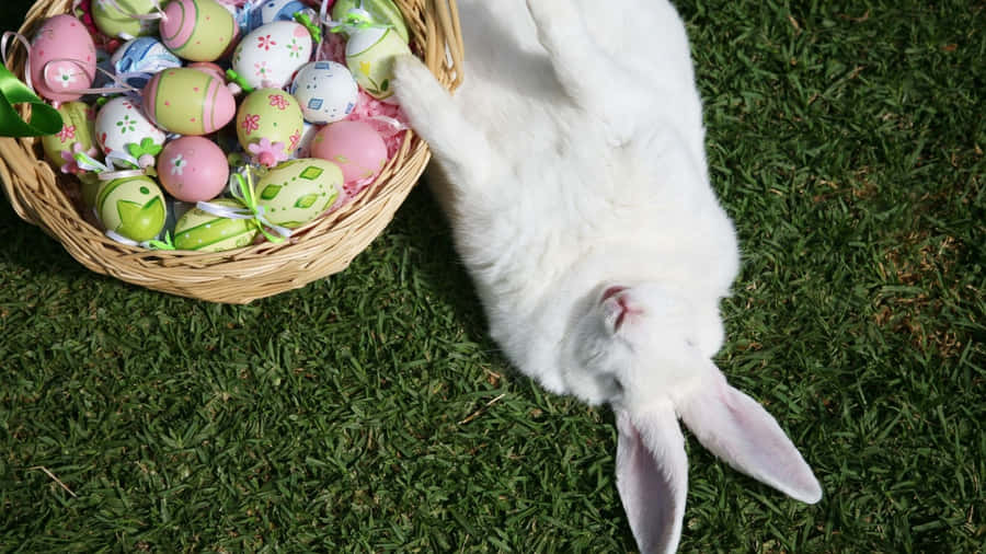 free easter bunny clipart - photo #1