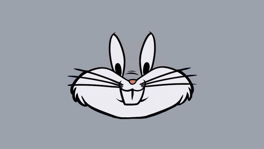free clipart easter bunny face - photo #1