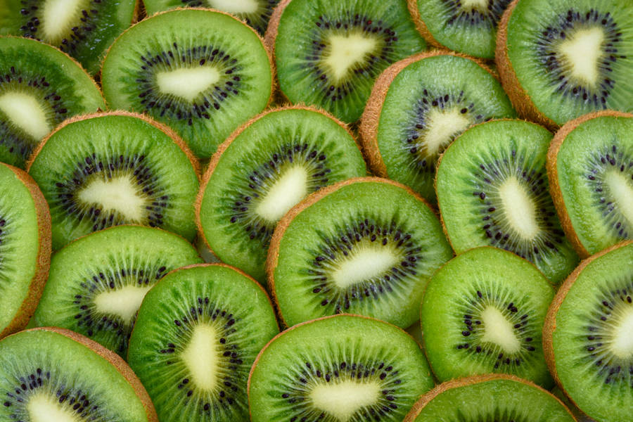 free kiwi fruit clipart - photo #5