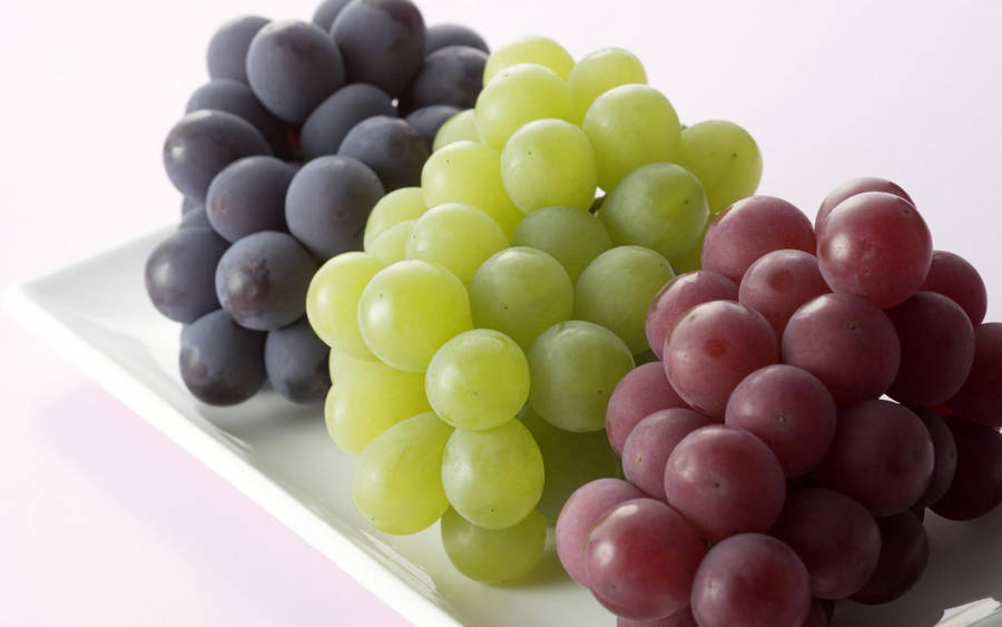 clipart grapes - photo #28