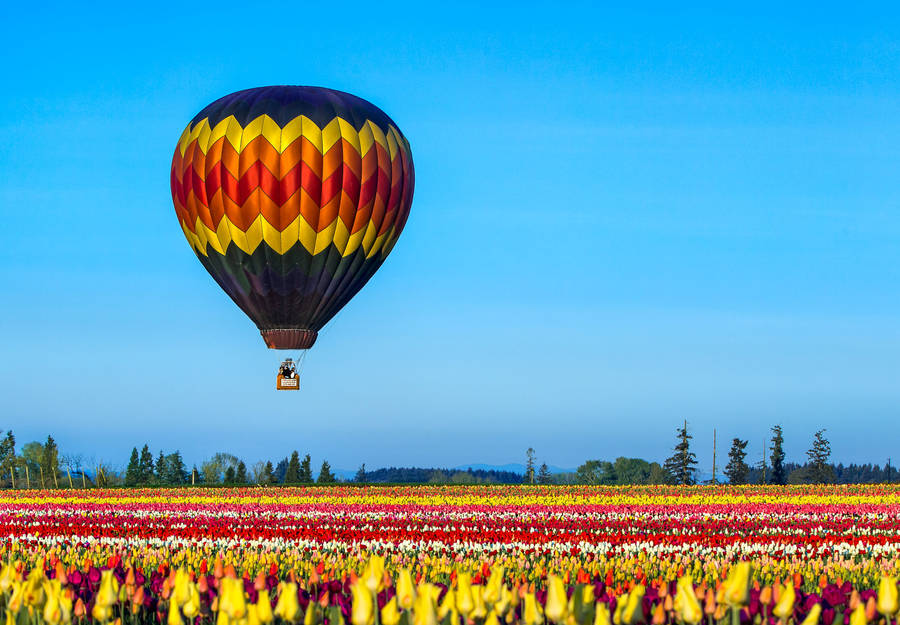 clipart hot air balloon - photo #42