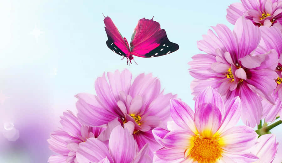free cute butterfly clip art - photo #41