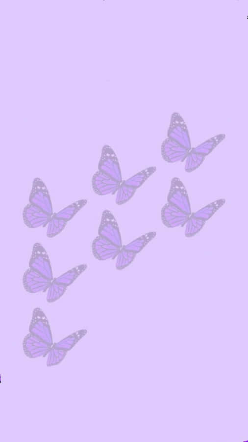 free cute butterfly clip art - photo #34